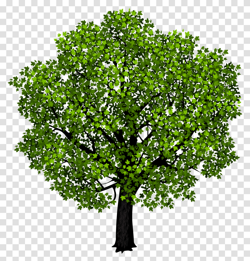Vector Bare Maple Tree Background Tree Clipart, Green, Plant, Leaf, Light Transparent Png