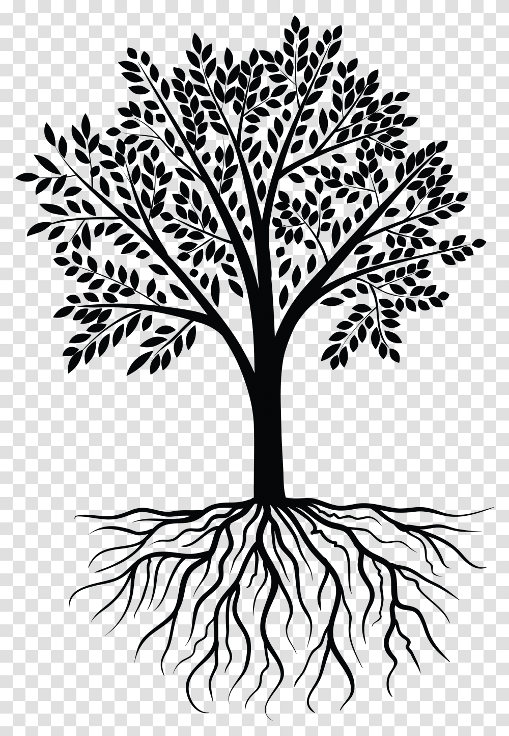 Vector Black White Design White Tree Vector, Plant, Root, Cross Transparent Png
