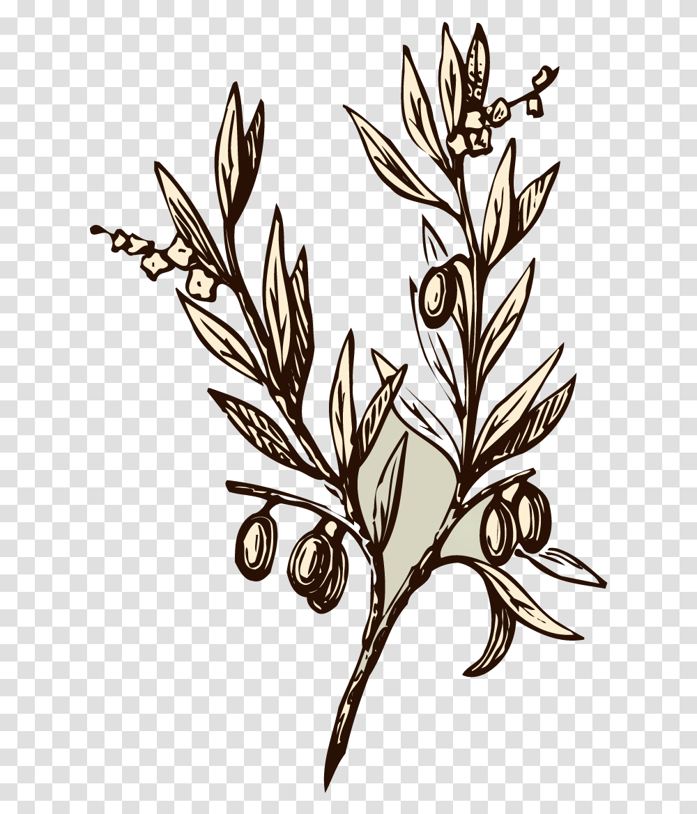 Vector Branch Almond Olive Tree Drawing, Floral Design, Pattern Transparent Png