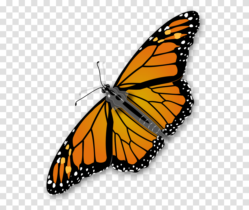 Vector Bug Butterfly Monarch Butterfly Background, Insect, Invertebrate, Animal Transparent Png