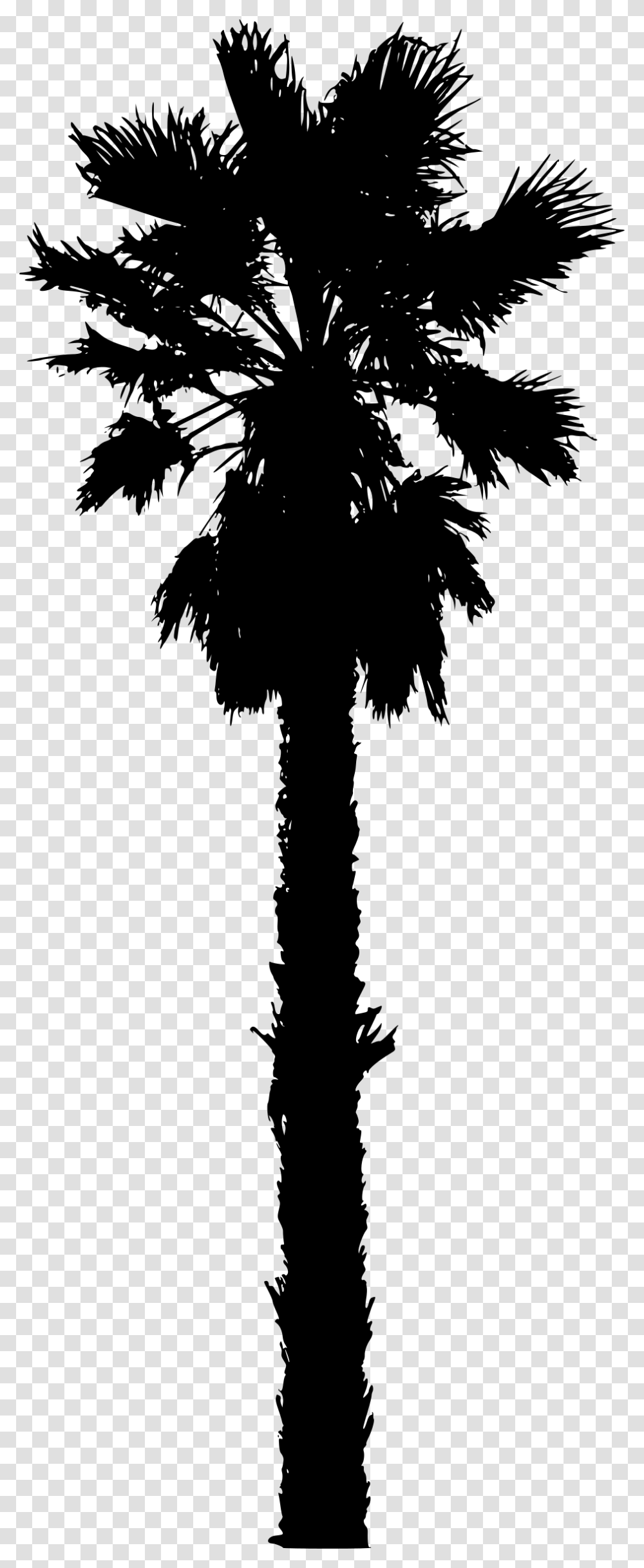 Vector California Palm Tree For Free Download On California Palm Tree Vector, Gray Transparent Png