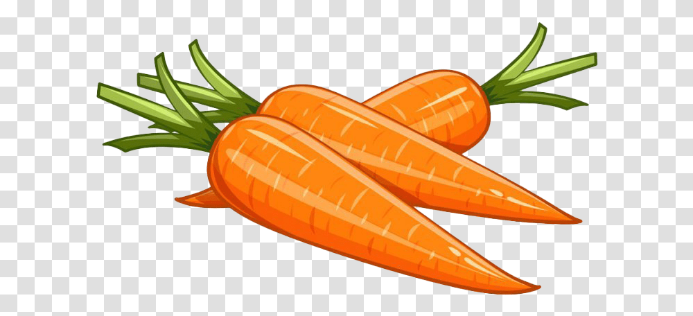 Vector Carrot Picture Background Carrots Clipart, Plant, Vegetable, Food Transparent Png