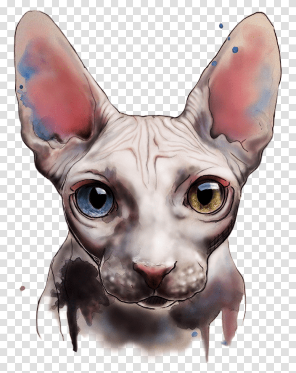 Vector Cats American Curl Hairless Cat Watercolour, Alien, Pet, Animal, Person Transparent Png