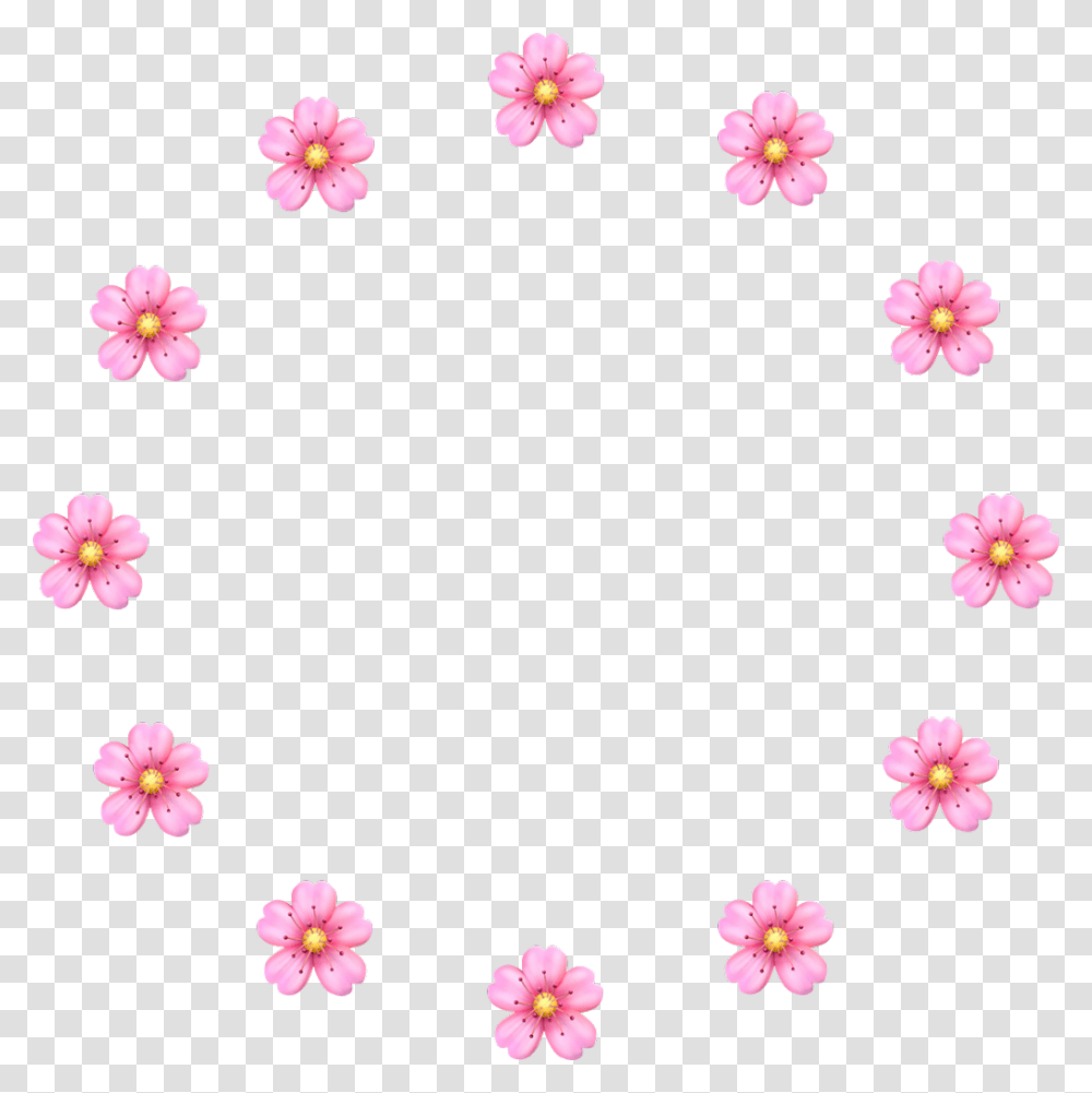 Vector Cherryblossoms Cherry Pink Flower, Floral Design, Pattern Transparent Png