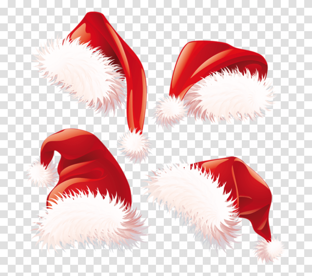 Vector Christmas Hat, Plant, Tree Transparent Png