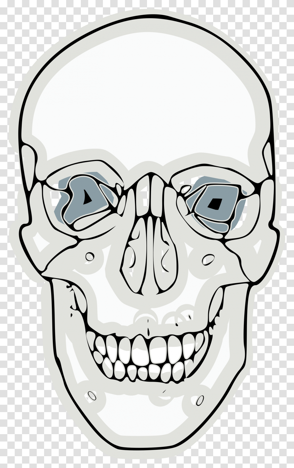 Vector Clip Art, Jaw, Head, Teeth, Mouth Transparent Png