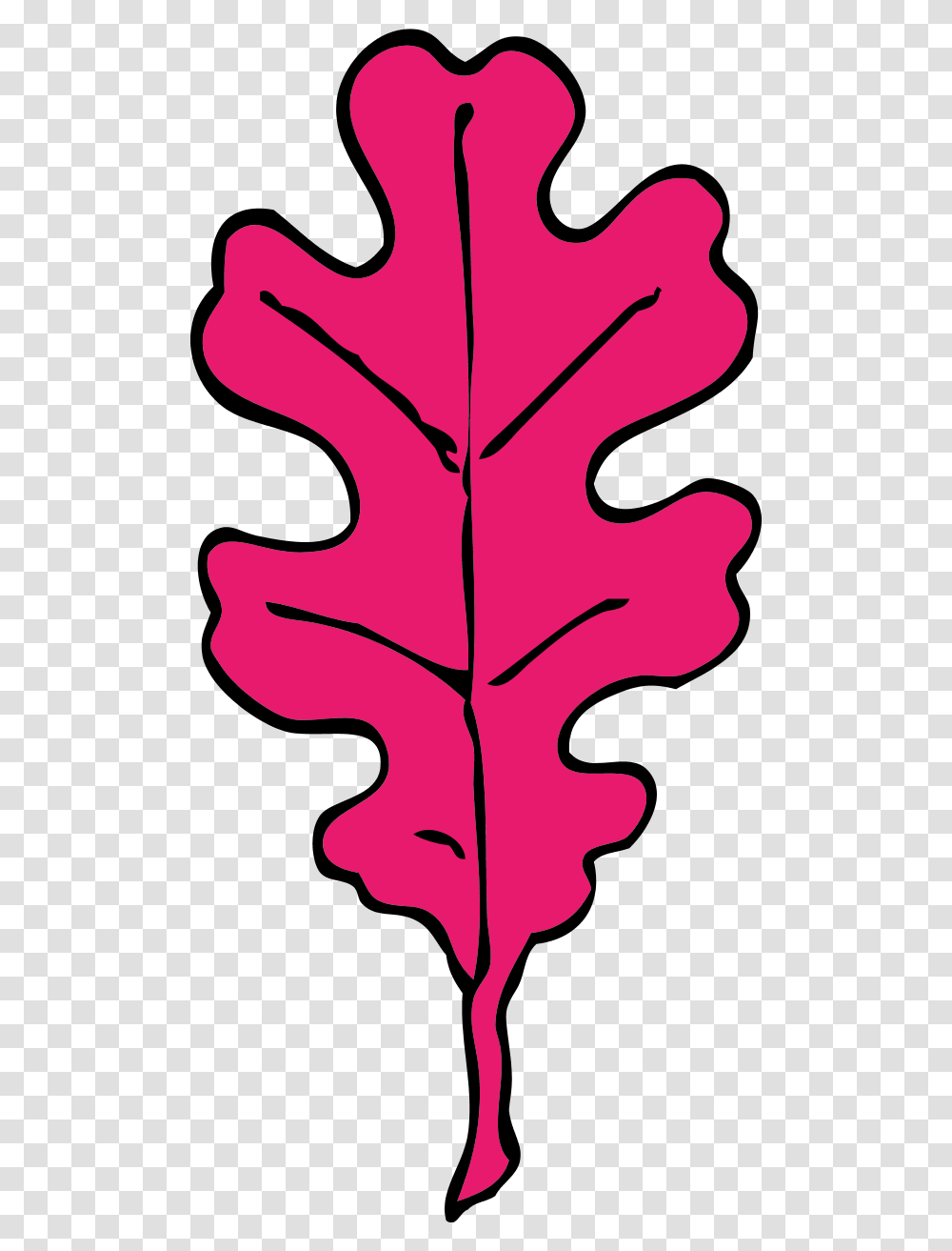 Vector Clip Art, Leaf, Plant, Maple Leaf, Tree Transparent Png