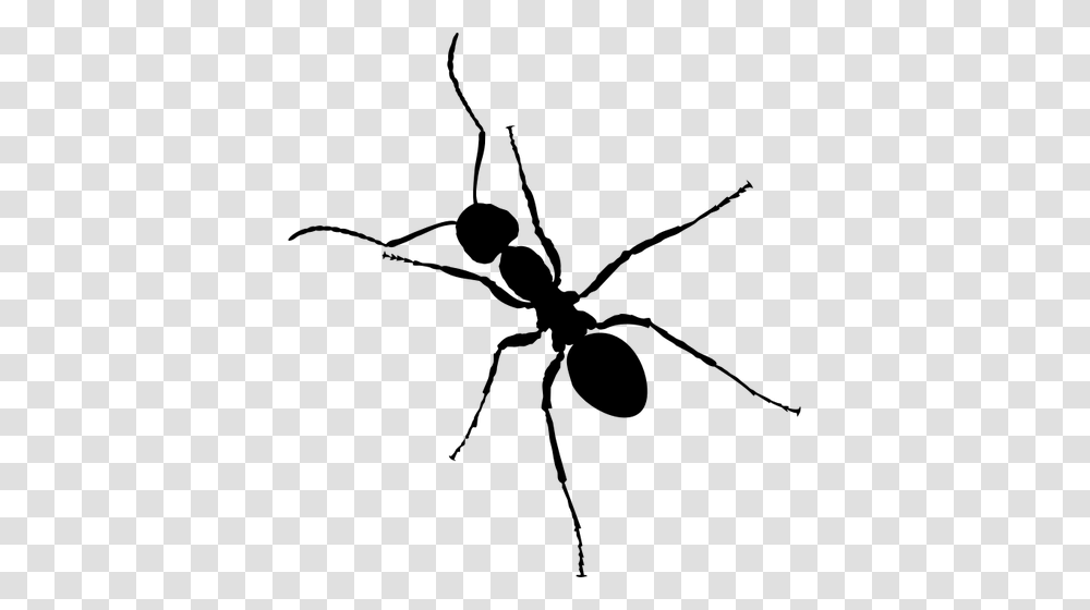 Vector Clip Art Of Ant With Six Legs, Gray, World Of Warcraft Transparent Png