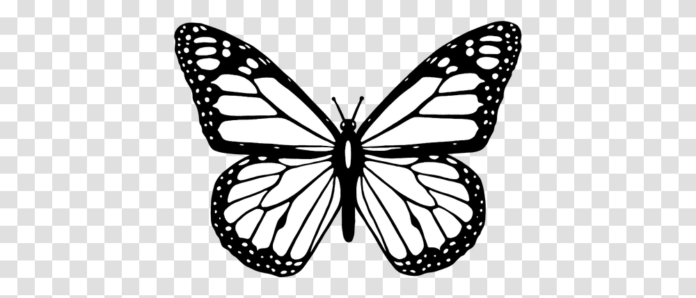 Vector Clip Art Of Black And White Butterfly With Wide Spread, Stencil, Pattern, Insect, Invertebrate Transparent Png