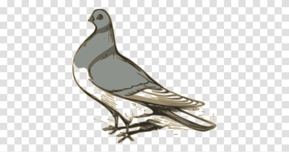 Vector Clip Art Of Grey Pigeon Illustration, Shoe, Footwear, Apparel Transparent Png