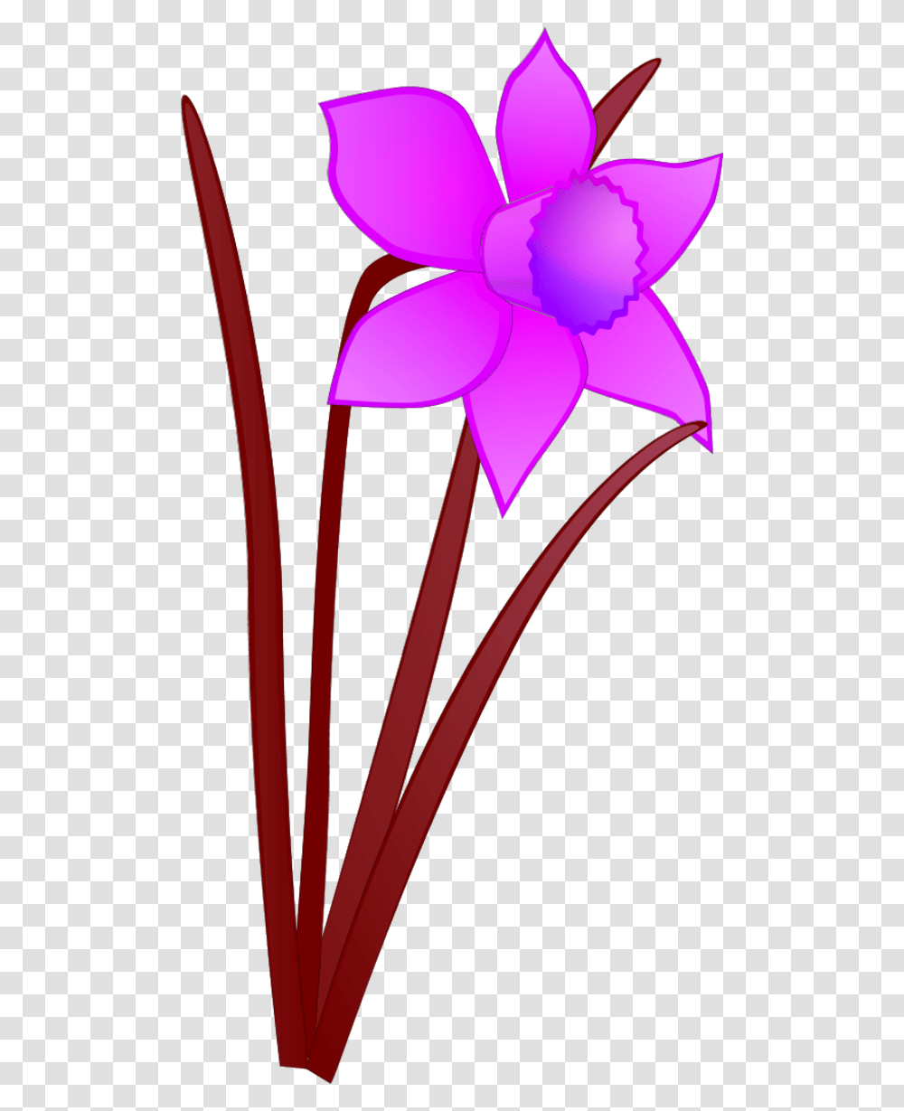 Vector Clip Art, Plant, Flower, Blossom, Petal Transparent Png