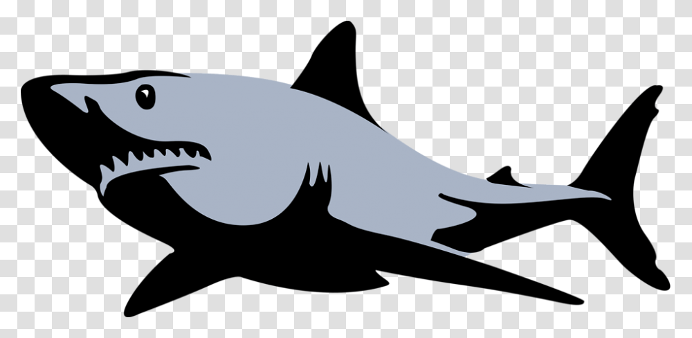 Vector Clipart Sharks Clip Art, Sea Life, Fish, Animal, Amphibian Transparent Png