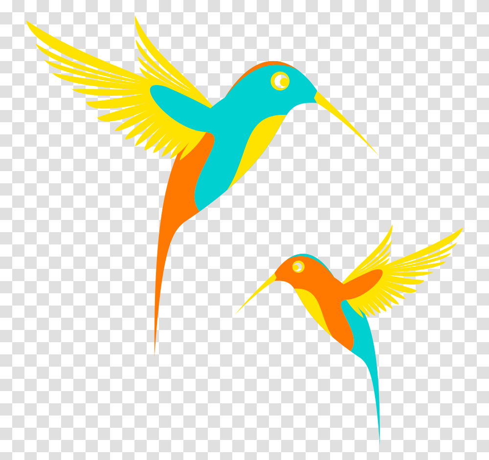 Vector Colibri Clipart, Bee Eater, Bird, Animal, Flying Transparent Png