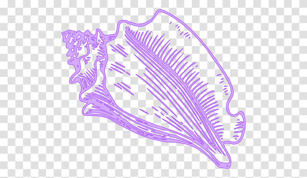 Vector Conch Shell, Sea Life, Animal, Clam, Seashell Transparent Png