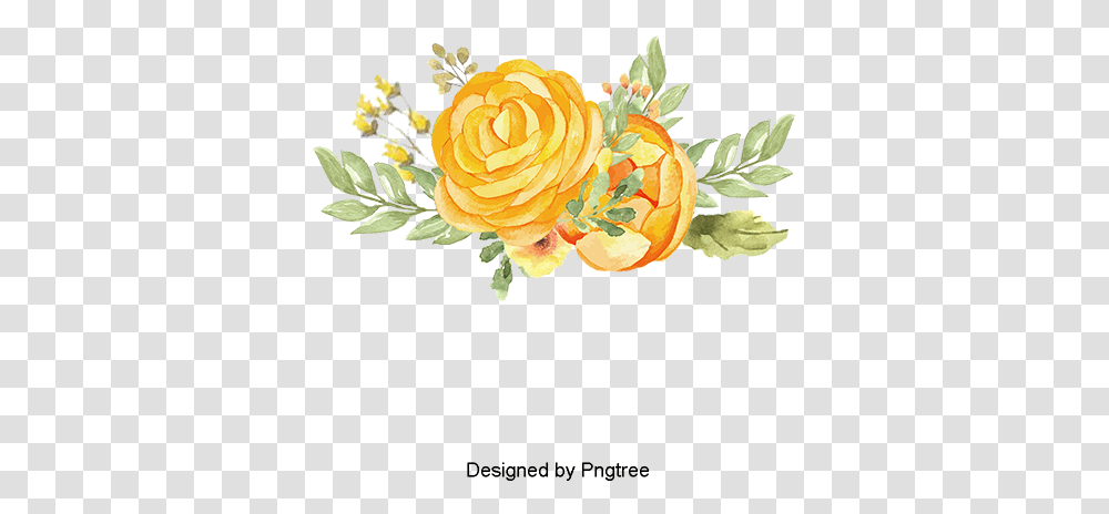 Vector Daisy Vector Daisy Yellow Watercolor Flower Background, Floral Design, Pattern Transparent Png