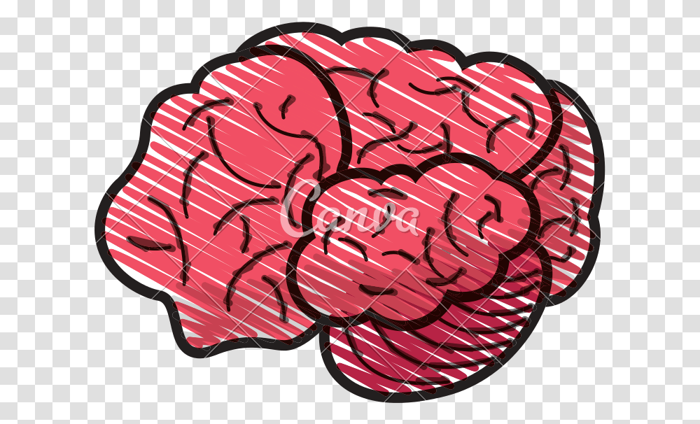 Vector Doodle Brain Cerebro Dibujo Vector, Hand, Flower, Plant Transparent Png