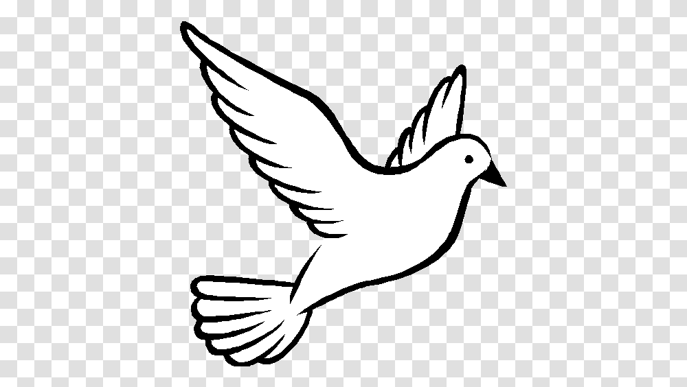 Vector Doves Merpati Flying Birds Pencil Drawing, Animal, Pigeon, Waterfowl, Duck Transparent Png