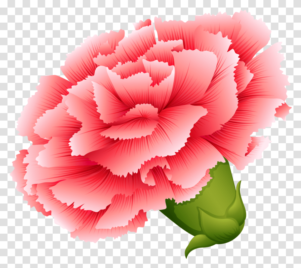Vector Download Button Flowers And Draw Different Type Of Flowers, Plant, Carnation, Blossom Transparent Png