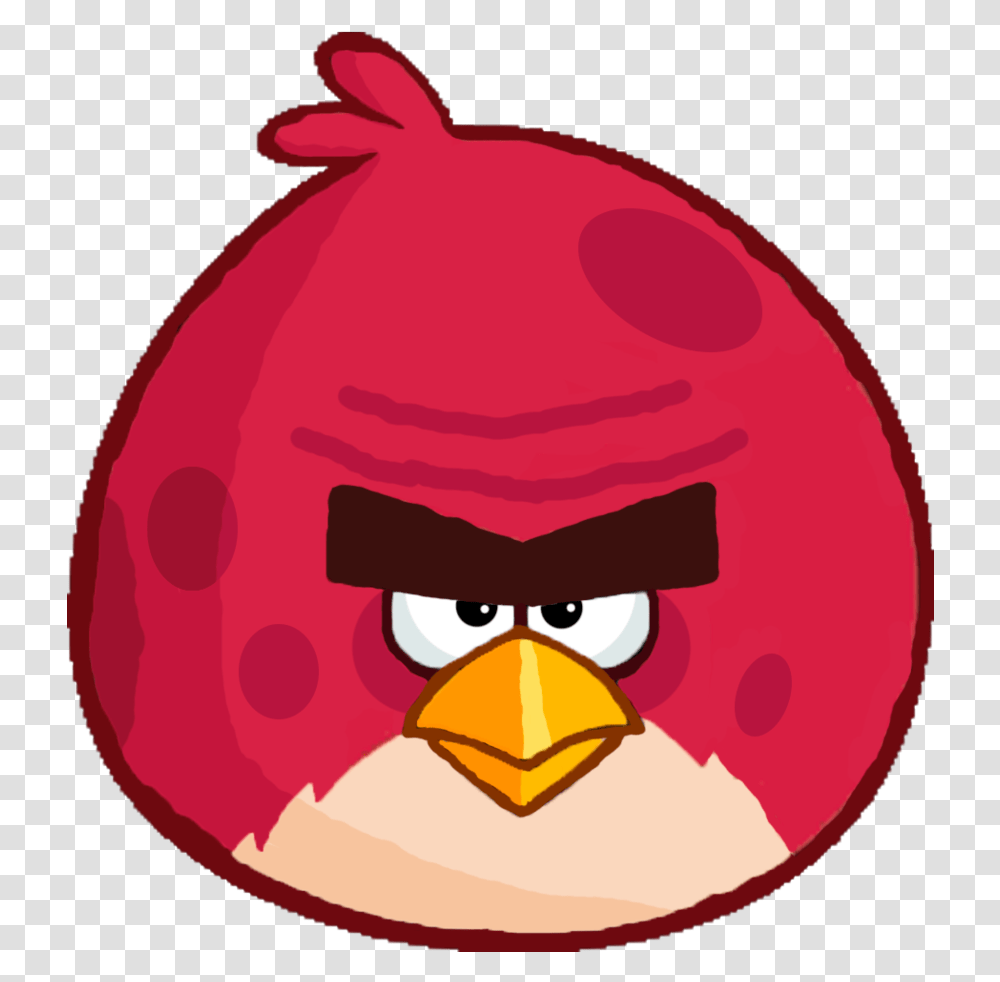 Vector Download Coach Draw Angry Birds Terence Transparent Png