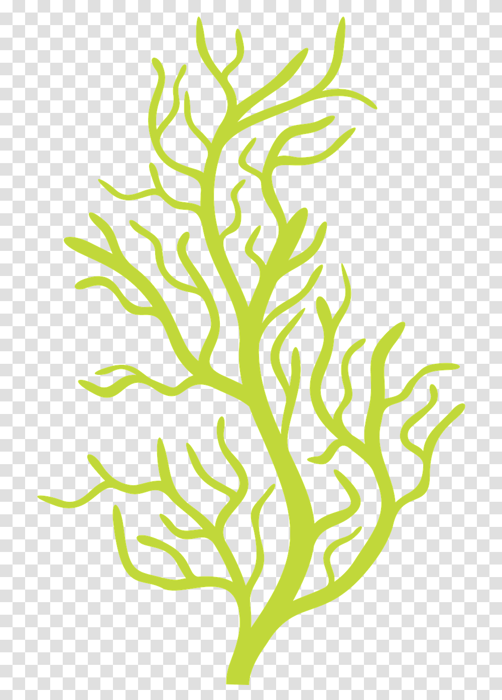Vector Download Http Fazendoarte Minus Bubble Guppies Seaweed, Pattern, Nature, Outdoors Transparent Png