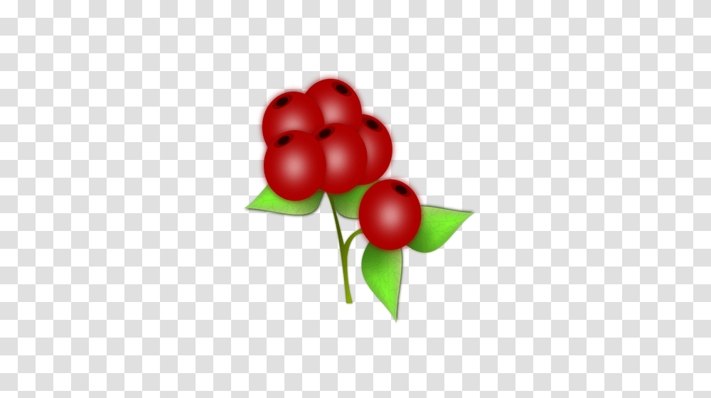 Vector Drawing Of Leaves And Berries Of A Holly, Balloon, Toy, Plant, Conifer Transparent Png