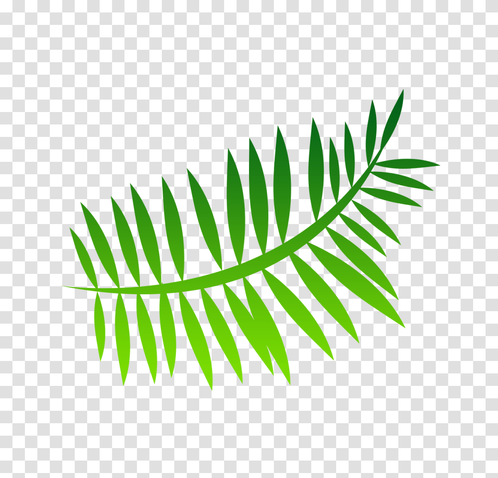 Vector Fern Image Background Download, Leaf, Plant, Green, Flower Transparent Png