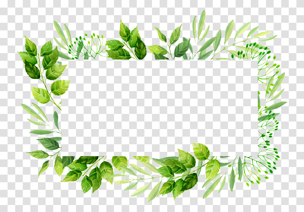 Vector Frame Images Leaves Invitation Frame, Leaf, Plant, Green, Vase Transparent Png