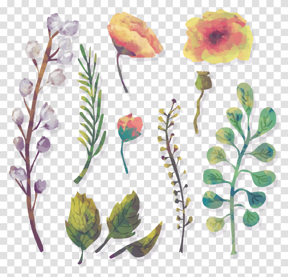 Vector Free Foliage Vector Watercolor Floral Water, Plant, Flower, Pattern, Acanthaceae Transparent Png