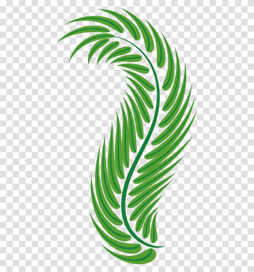 Vector Free Stock Palm Leaf Green Arecaceae Easter Spiral Easter Leaf Graphic, Plant, Fern, Bird, Animal Transparent Png