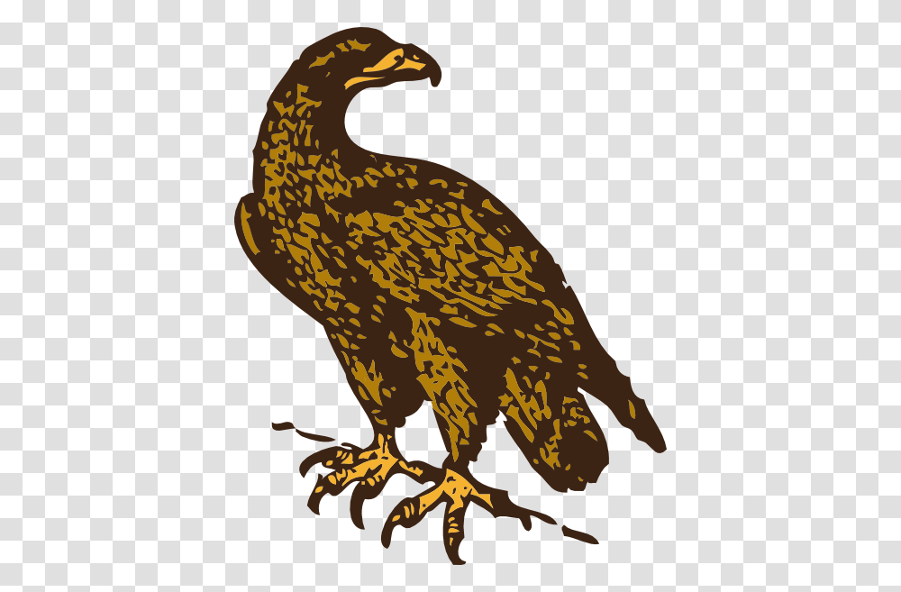 Vector Free Vectors Download, Bird, Animal, Eagle, Dodo Transparent Png