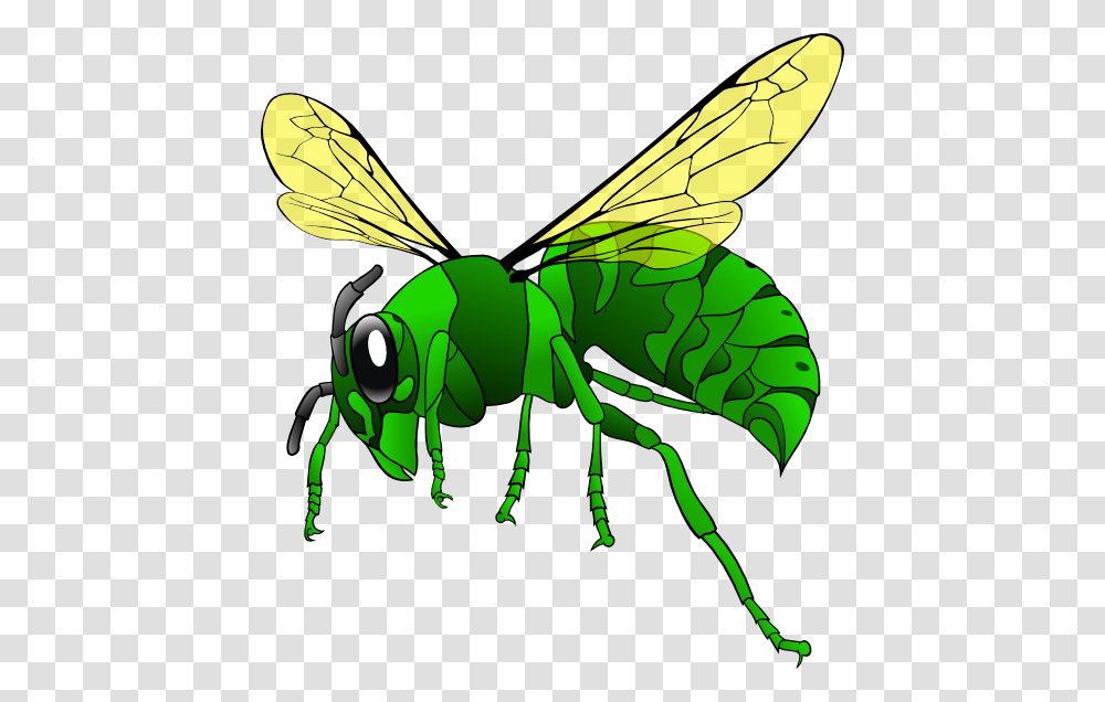 Vector Free Vectors Download, Insect, Invertebrate, Animal, Wasp Transparent Png