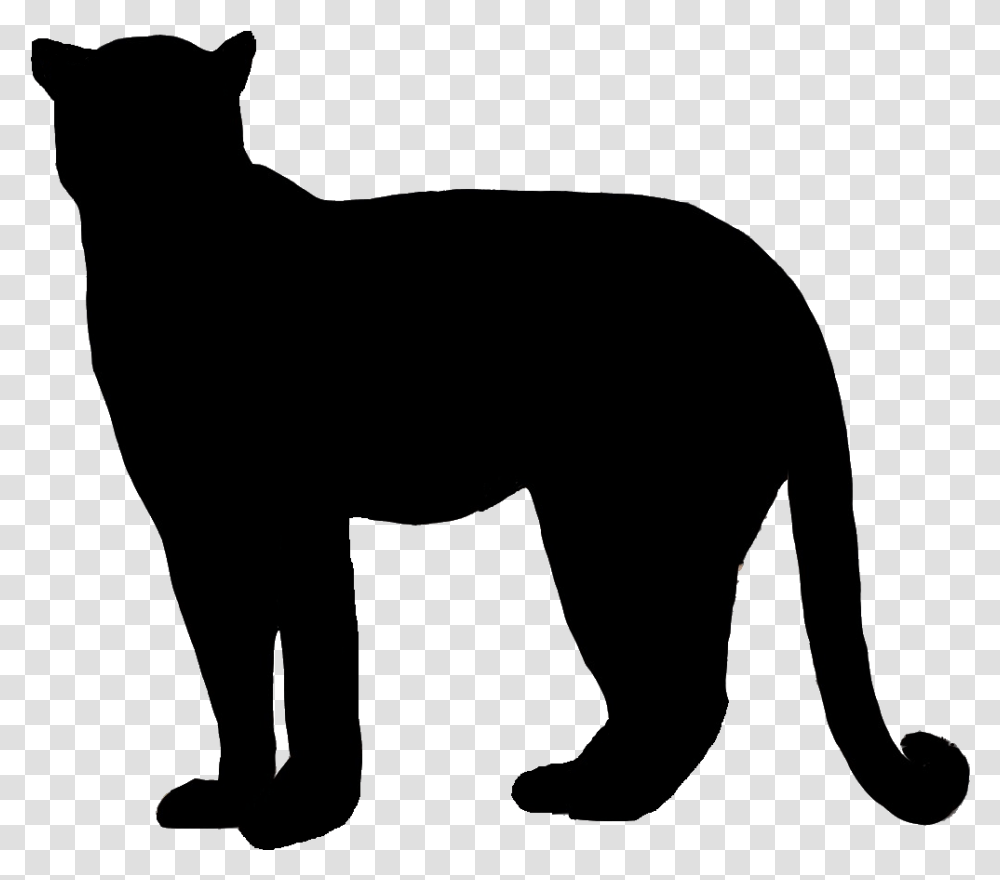 Vector Freeuse Bobcat Clipart Silhouette Cougar Silhouette Background, Mammal, Animal, Pet, Black Cat Transparent Png