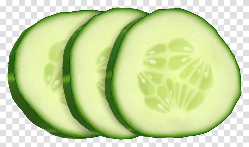 Vector Freeuse Cucumber Slice Clipart Clipart Of Cucumber Slices With Background Transparent Png
