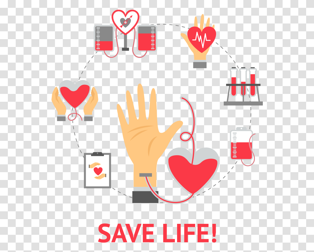 Vector Freeuse Library Organ Web Portal Bowp Blood Donation, Advertisement, Poster, Label Transparent Png