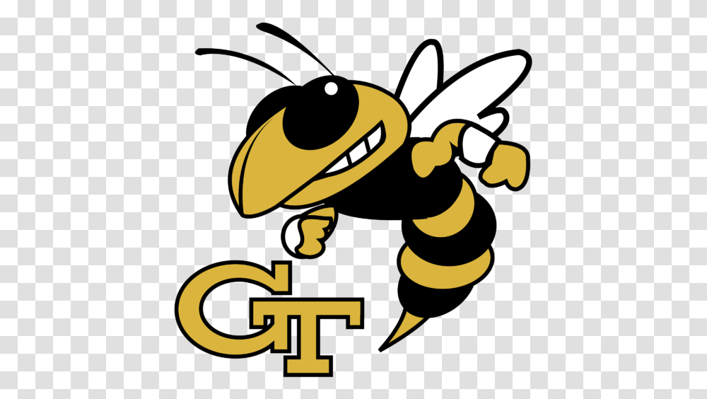 Vector Georgia Tech Logo, Wasp, Bee, Insect, Invertebrate Transparent Png