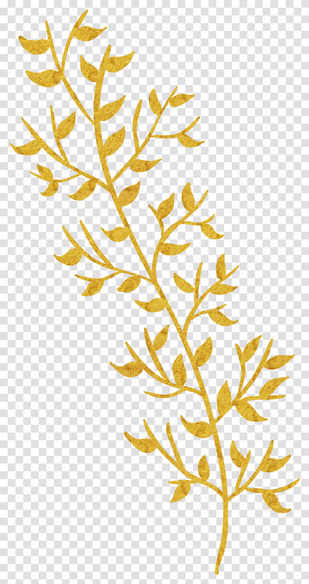 Vector Gold Leaf, Plant Transparent Png