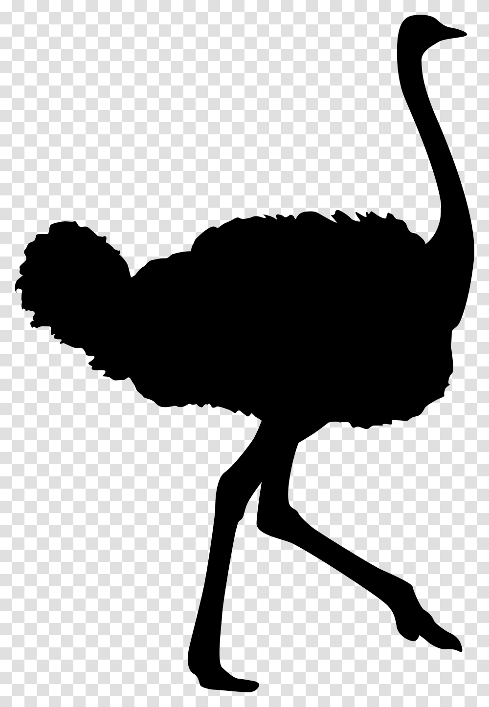 Vector Graphics Animal Silhouettes Clip Art Illustration Ostrich Decal, Gray, World Of Warcraft Transparent Png