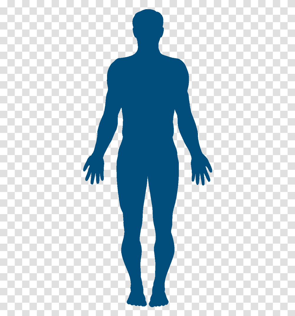Vector Graphics Clip Art Silhouette Human Body Stock, Sleeve, Apparel, Long Sleeve Transparent Png