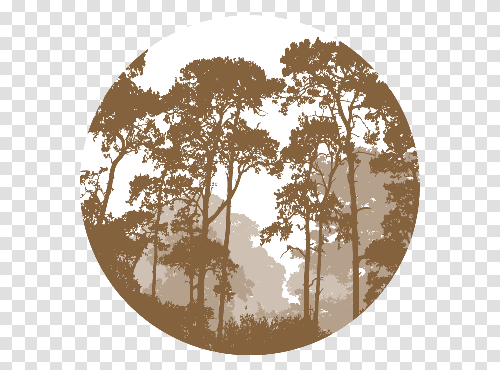 Vector Graphics Illustration Forest Landscape Silhouette Forest Landscape Vector, Tree, Plant, Vegetation, Moon Transparent Png