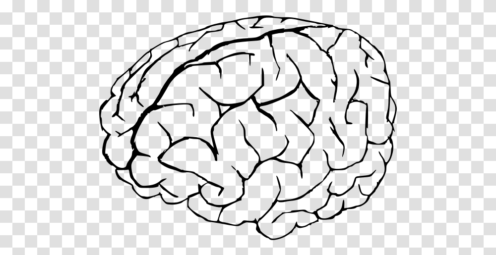 Vector Graphics Of Human Brain In White And Black Coloring, Gray, World Of Warcraft Transparent Png