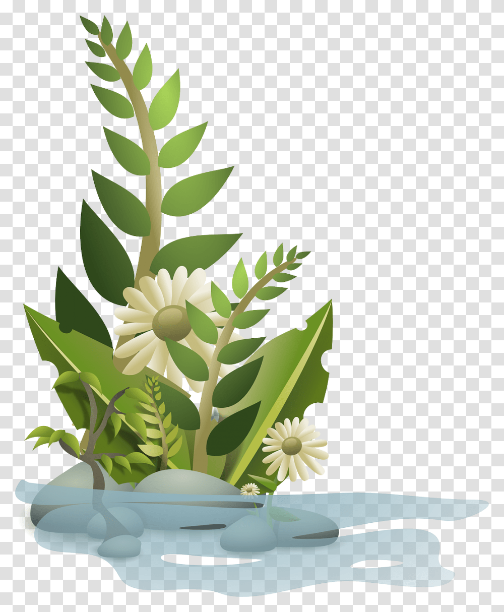 Vector Graphics Of Selection Plants In Water Free Svg Cartoon Flower Plants, Leaf, Blossom, Fern, Green Transparent Png