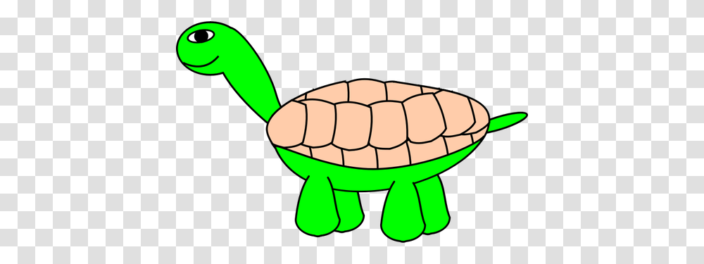 Vector Graphics Of Tortoise With Beige Shell, Animal, Sea Life, Soccer Ball, Football Transparent Png