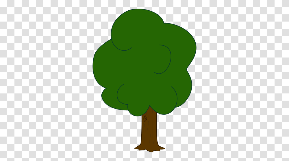 Vector Graphics Of Younger Oak Tree, Plant, Green, Food Transparent Png