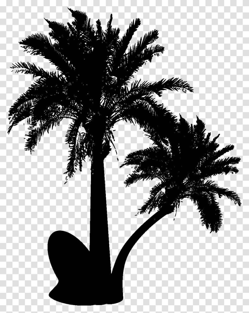 Vector Graphics Palm Trees Silhouette Clip Art Design Desert Palm Tree Vector, Plant, Arecaceae, Stencil, Tropical Transparent Png