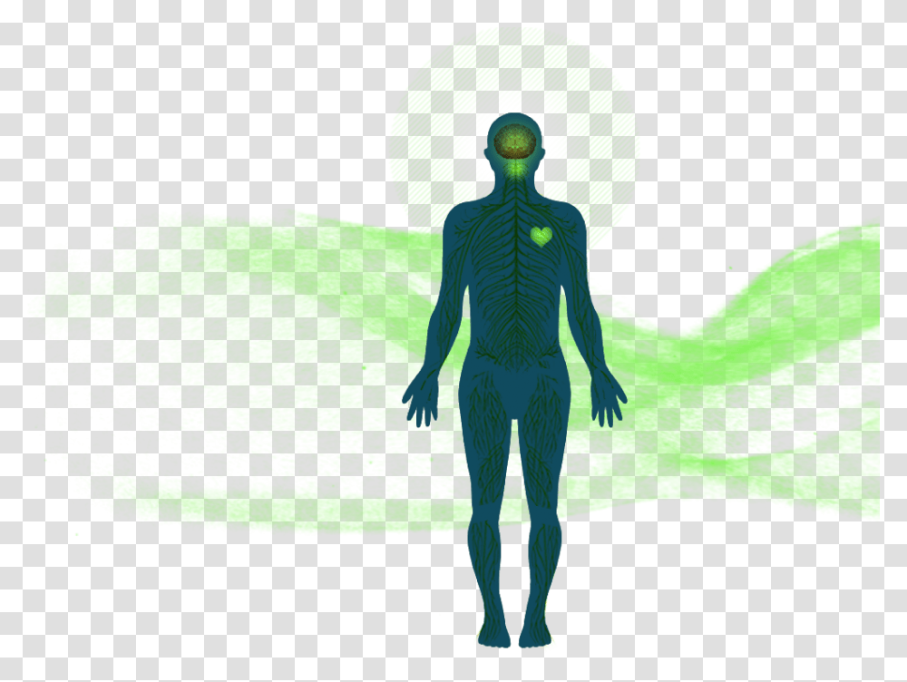Vector Graphics Portable Network Graphics Clip Art Body Network, Person, Human, Alien Transparent Png