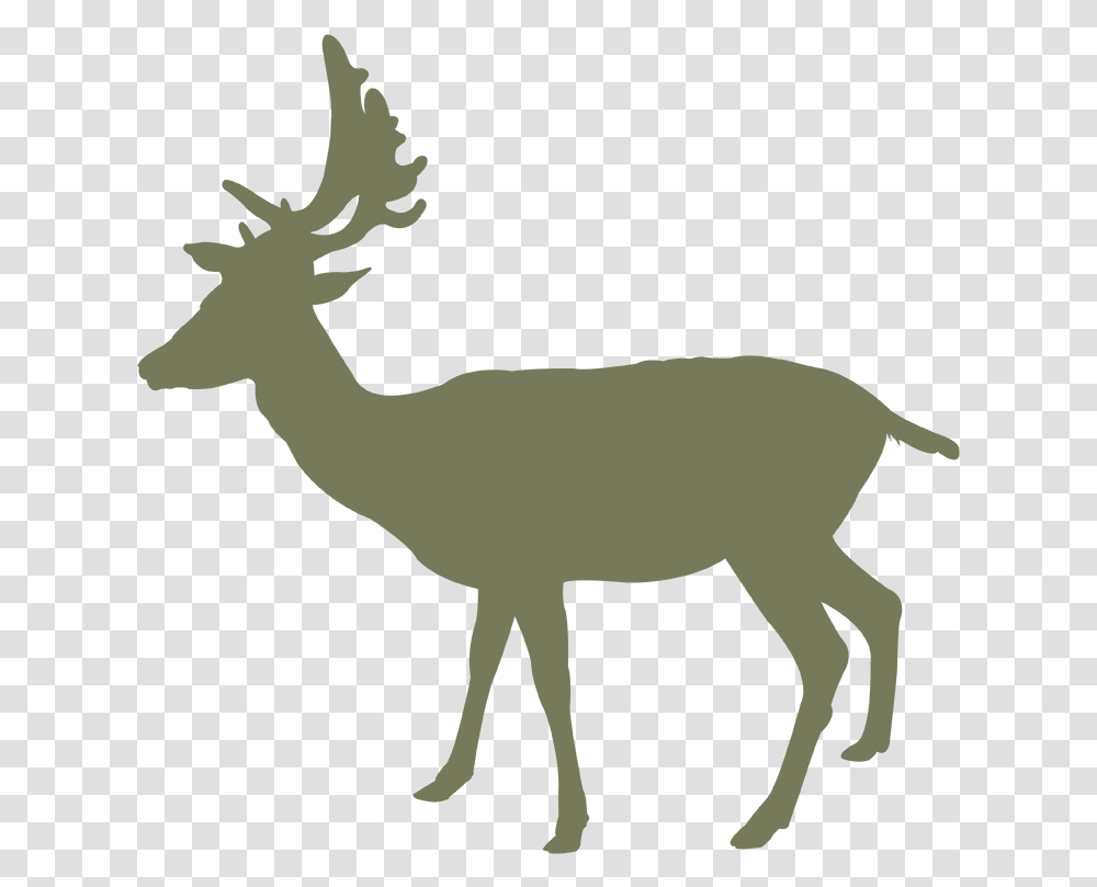 Vector Graphics, Wildlife, Animal, Deer, Mammal Transparent Png