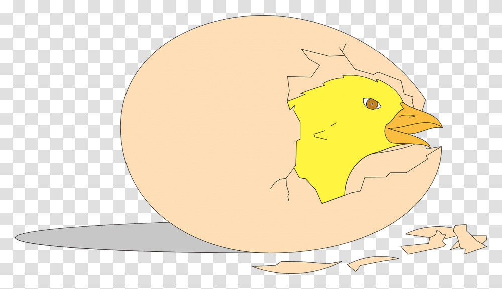 Vector Graphicsfree Pictures Free Photos Free Images Animasi Telur Ayam Menetas, Food, Egg, Sweets, Confectionery Transparent Png