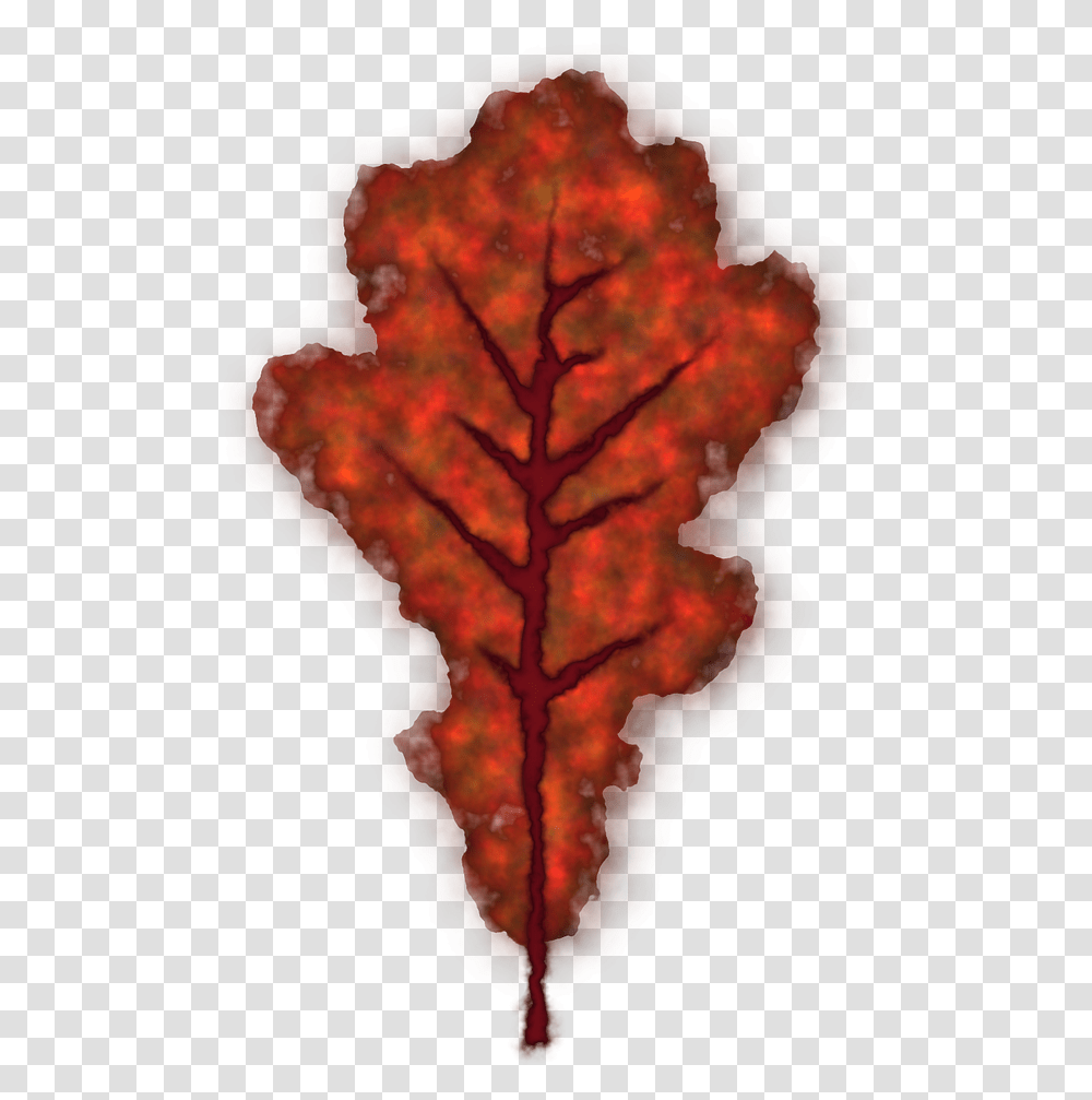 Vector Graphicsfree Pictures Free Photos Free Images Smooth Sumac, Ornament, Nature, Outdoors, Plant Transparent Png