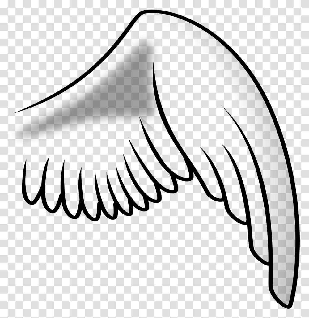 Vector Graphicsfree Pictures Free Right Side Wings, Gray, World Of Warcraft Transparent Png