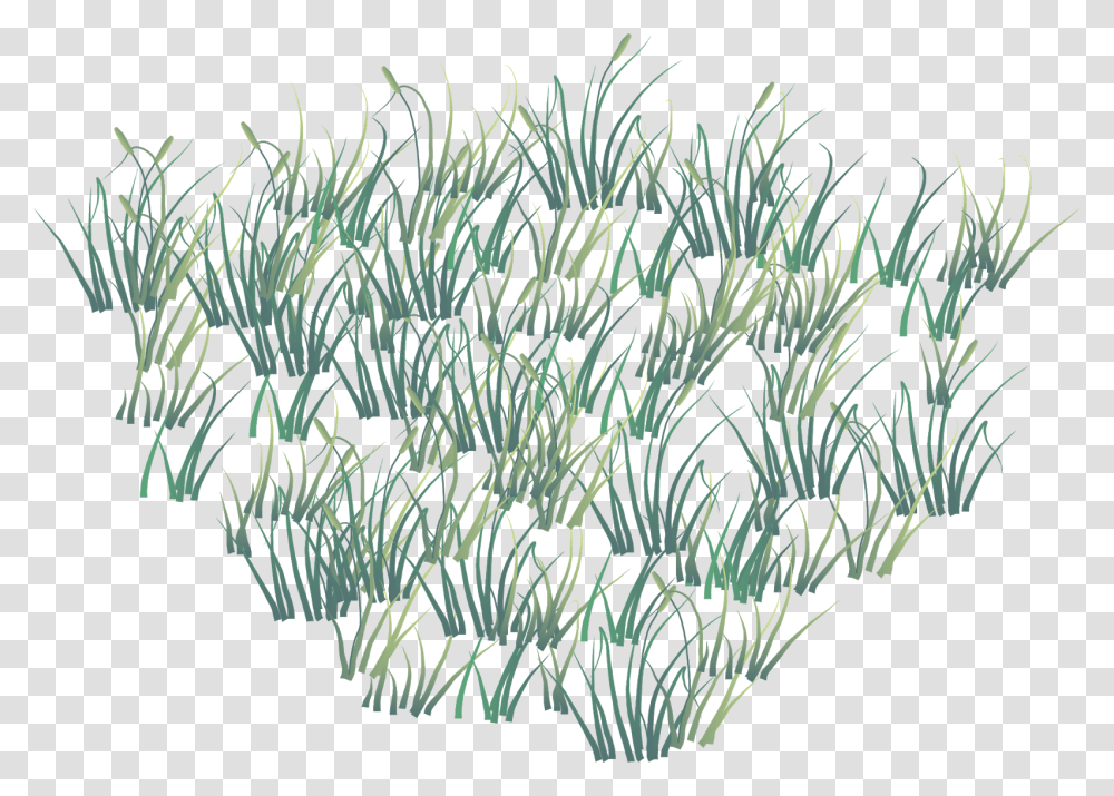 Vector Grass Grass, Plant, Nature, Outdoors, Reef Transparent Png